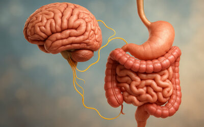 El curioso vínculo entre intestino y cerebro.